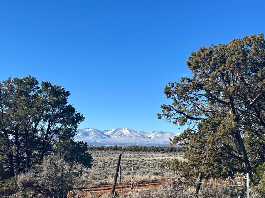 Own a piece of the west!  360 degree views of the La Sal and Abajo Mountains.  Farm crops, build, vacation, hunt, relax...most anything you can imagine on this almost 1000 acre parcel(s).   With access to two County Roads (Sturgeon 320 and Schafer 330), Monticello is only a short drive away. This listing includes 4 separate parcels. Note:  There is a CRP (Conservation Reserve Program) contract on this property which may possibly provide a yearly income.  Contact your agent for details.