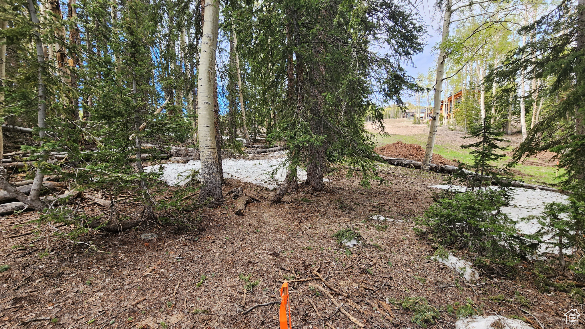 4 Elk #7, Beaver, Utah image 10