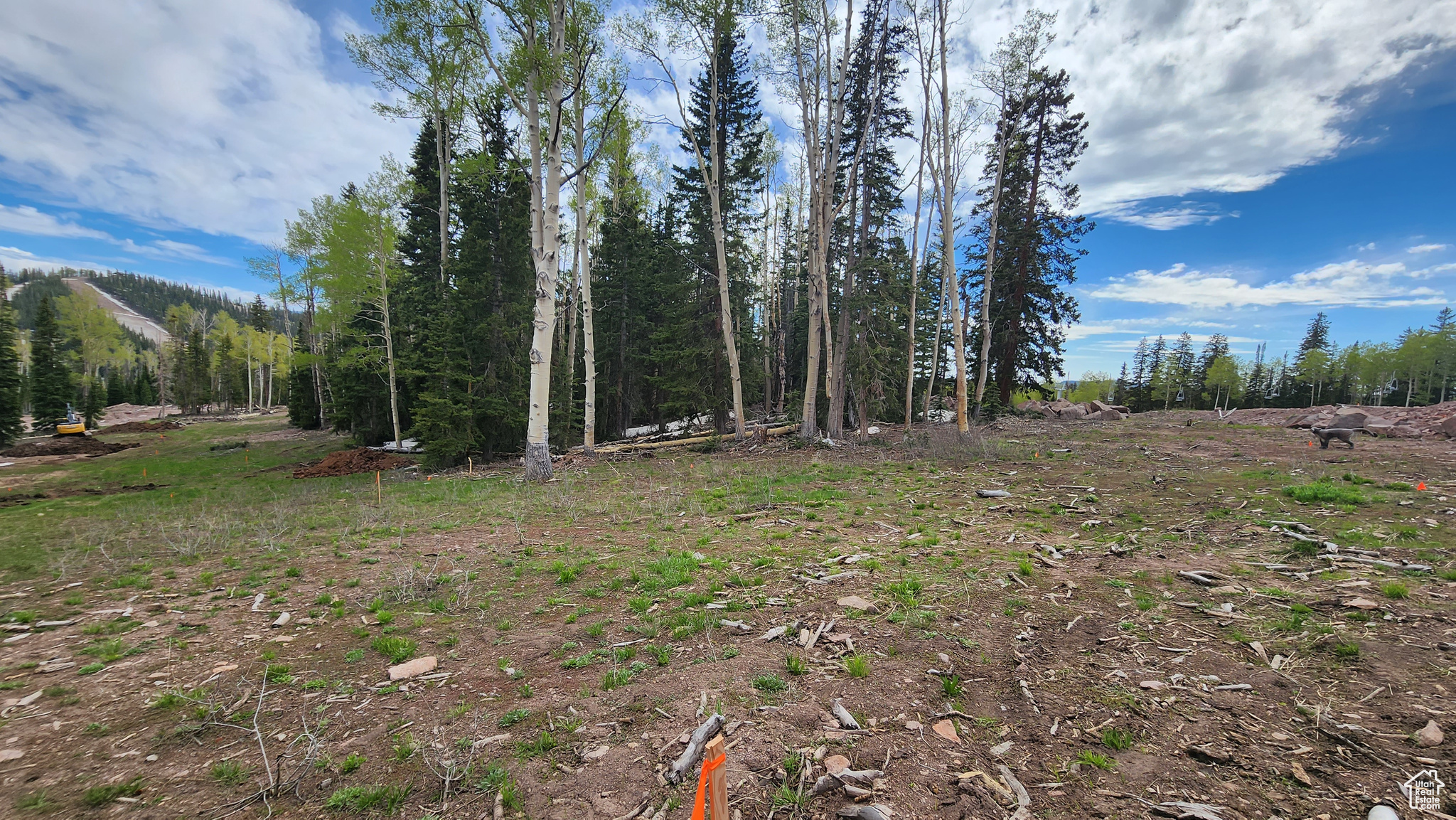 4 Elk #7, Beaver, Utah image 6
