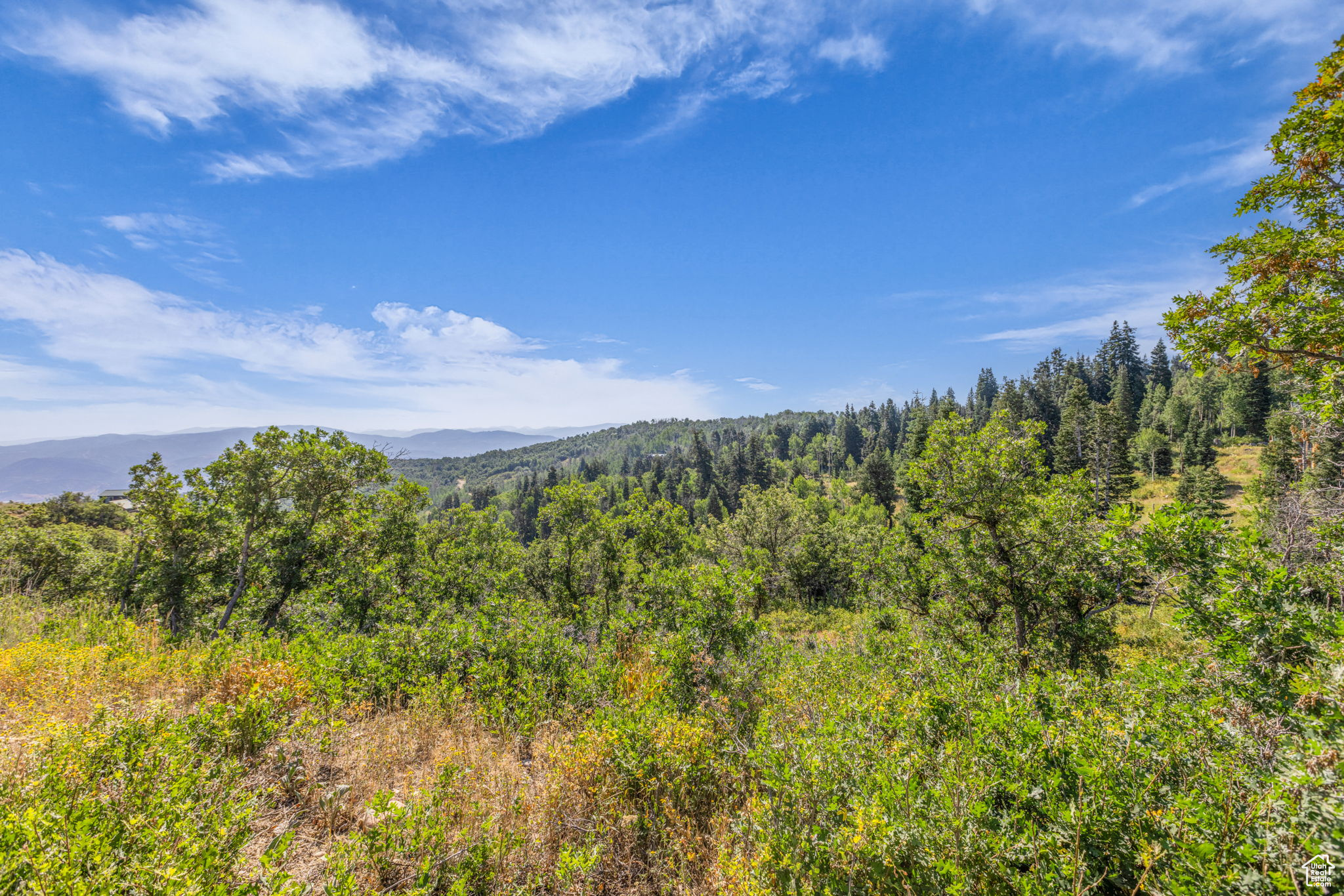FOREST MEADOWS - Land