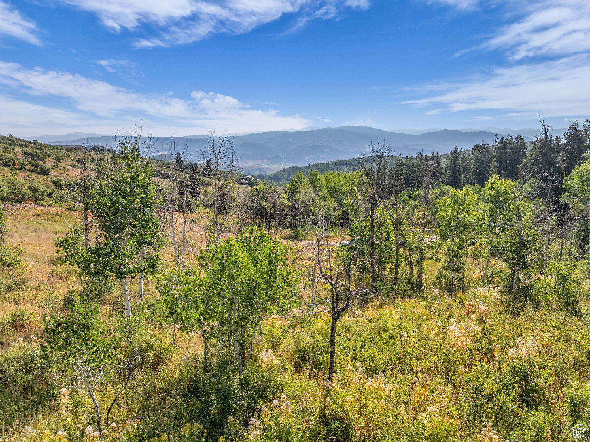 FOREST MEADOWS - Land