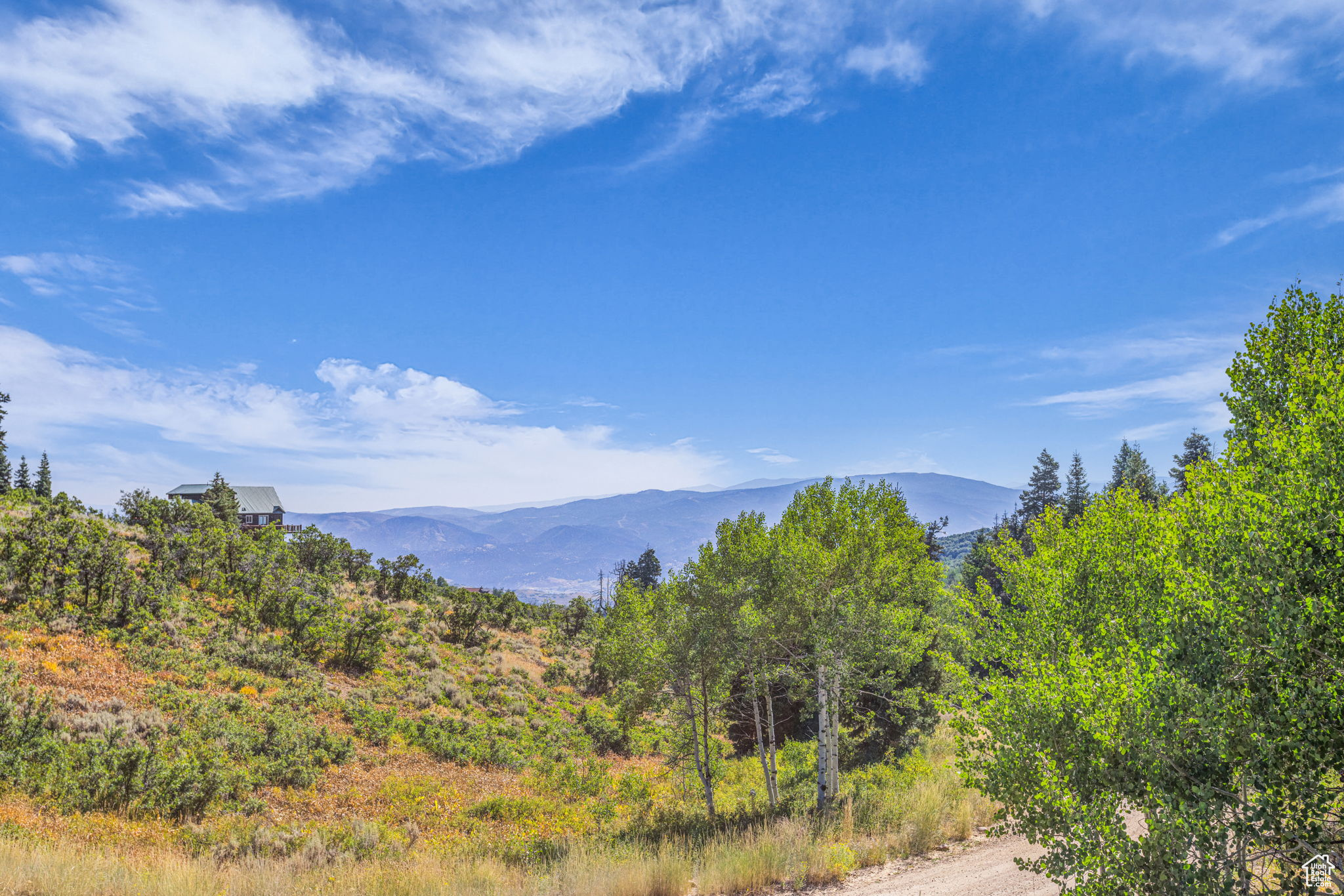 FOREST MEADOWS - Land