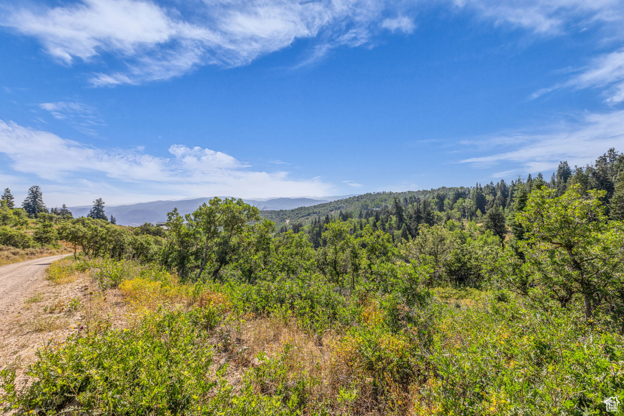 FOREST MEADOWS - Land