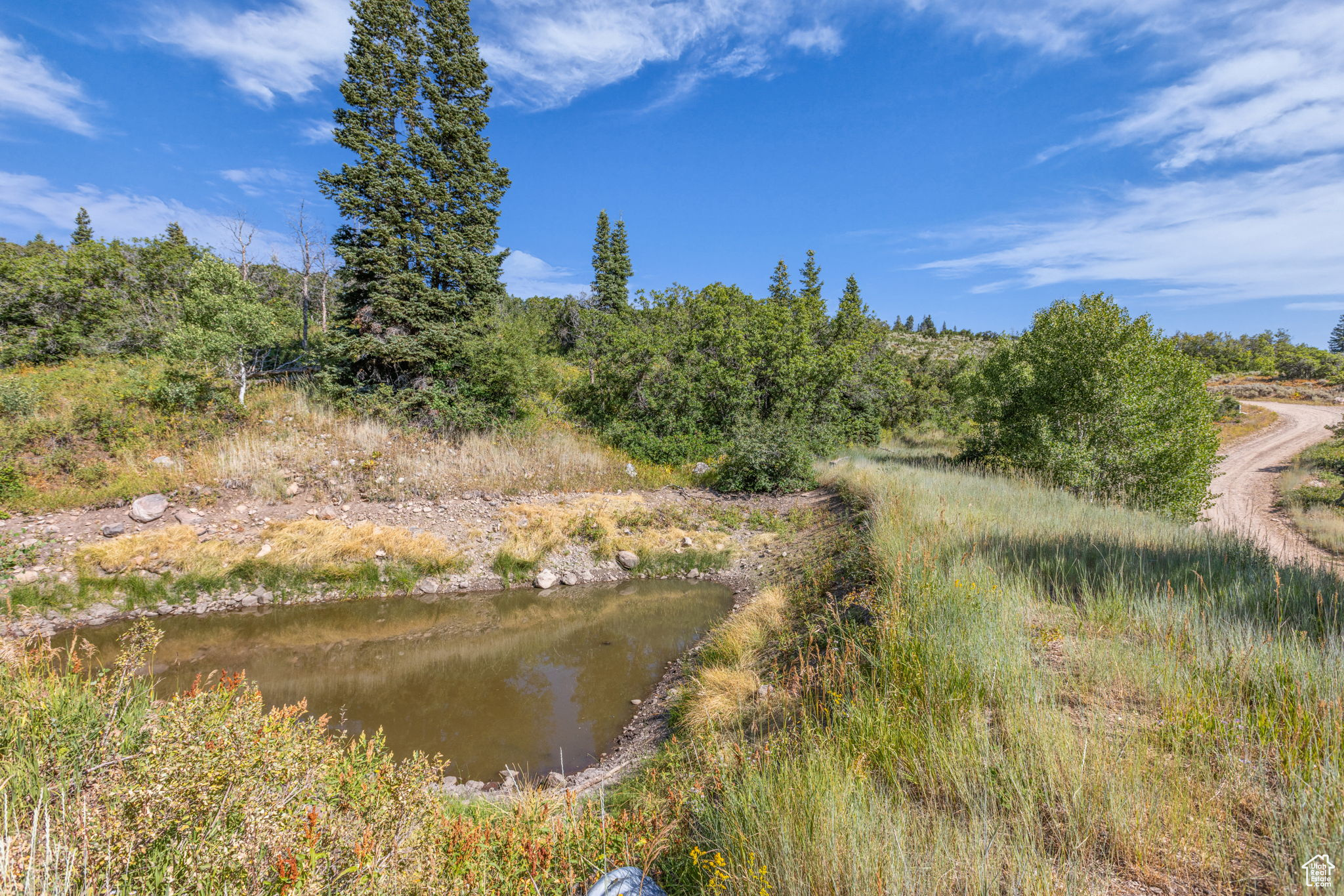FOREST MEADOWS - Land