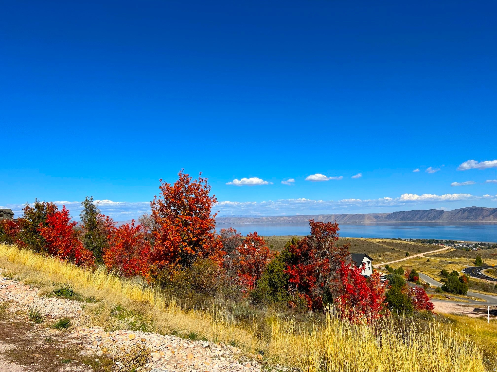 SHUNDAHAI,  EAGELE FEATHER - Land