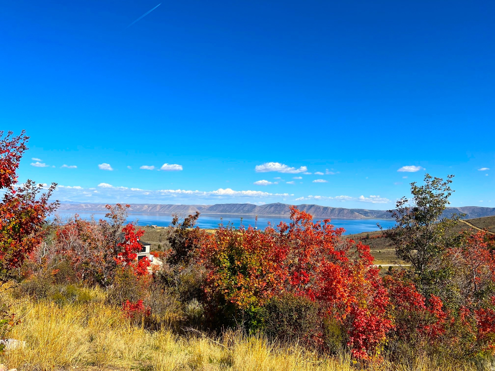 SHUNDAHAI,  EAGELE FEATHER - Land