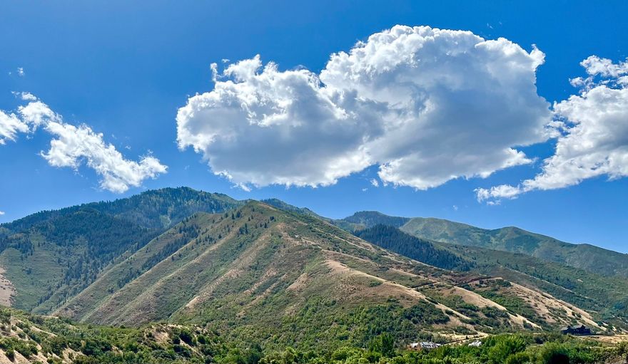 Build your dream home on this stunning lot in Mapleton, Utah! Surrounded by breathtaking mountain views and wrapped in open space, this property offers the perfect blend of beauty, privacy, and small-town charm, with convenient access to nearby trailheads. Don't miss the chance to own a slice of scenic paradise in Utah County. Stubbed and ready, bring your own builder.