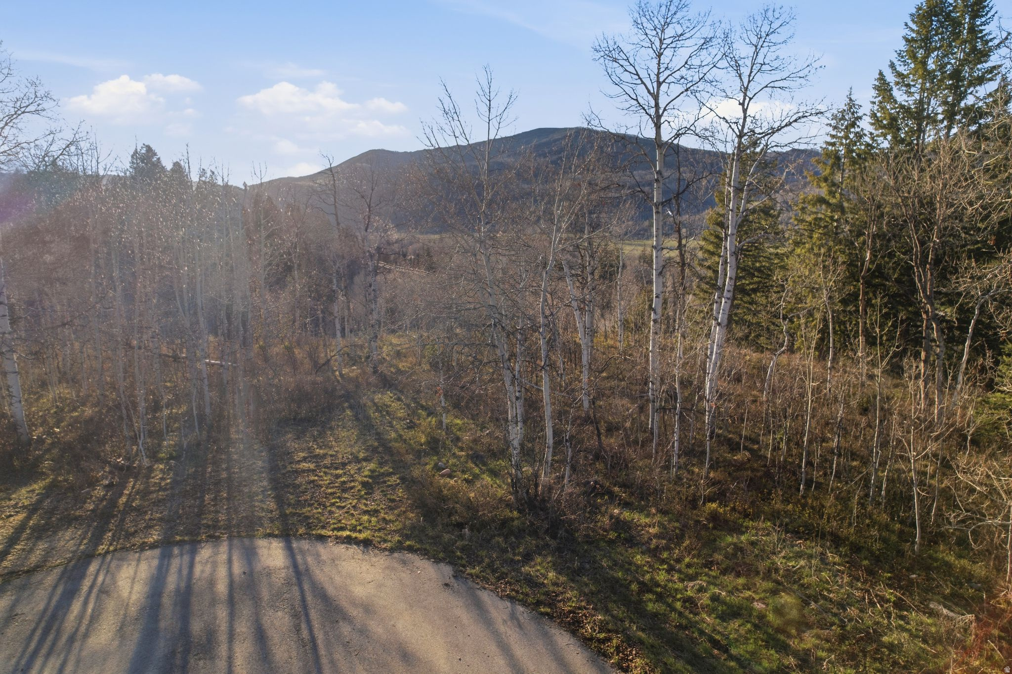 PINE MTN SUBDIVISION - Land