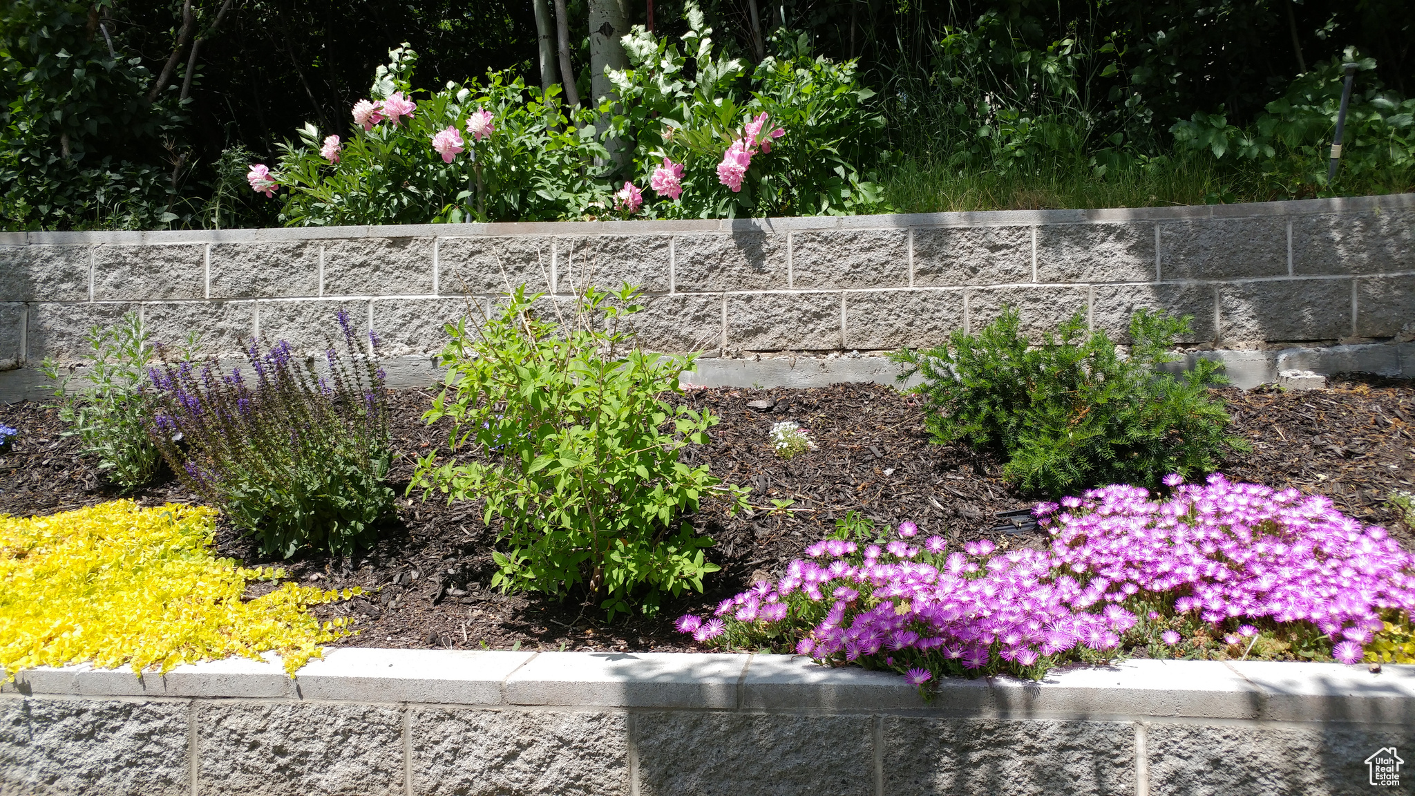 CANYON CREST - Residential