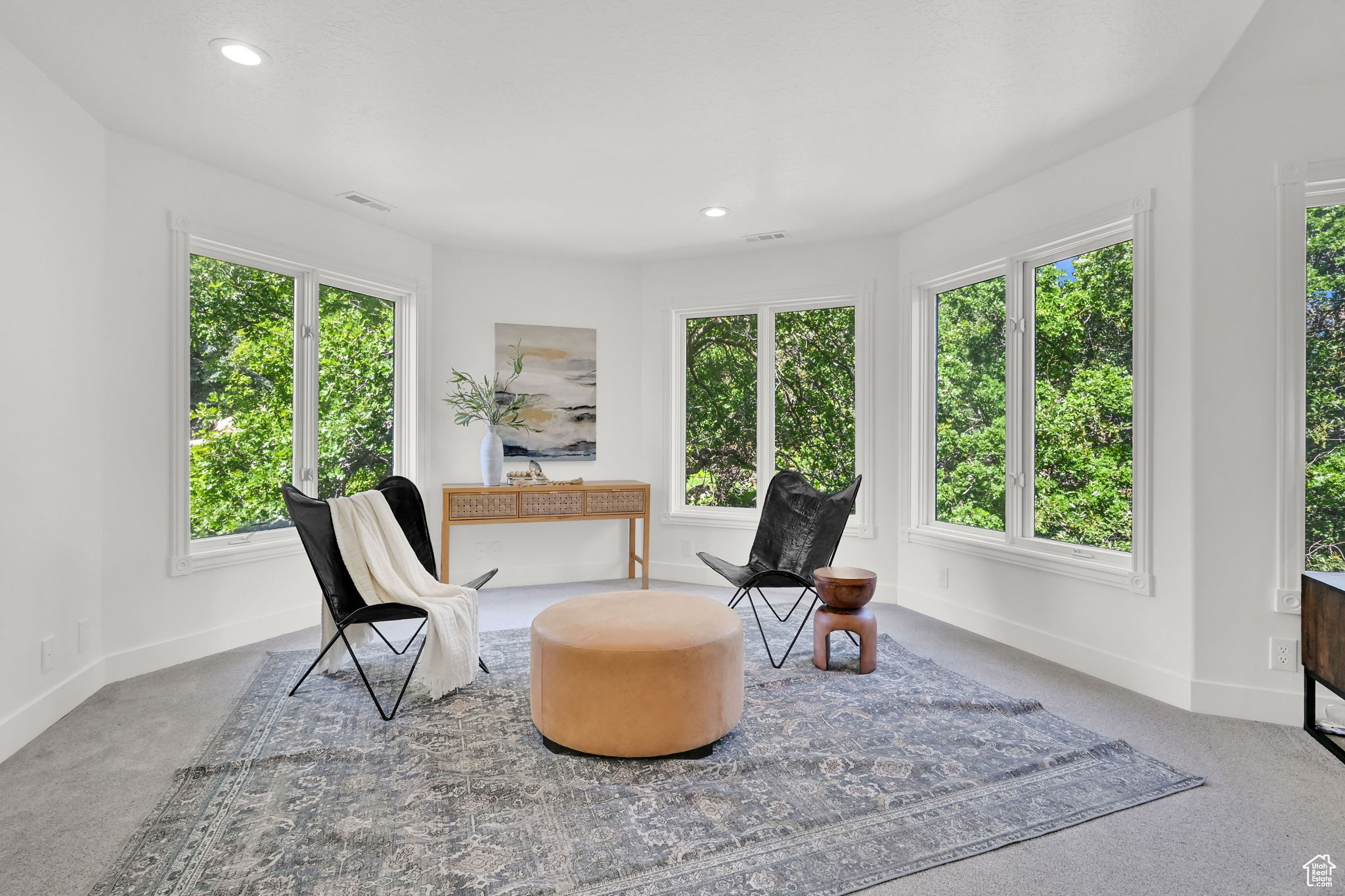 MOUNTAIN MEADOWS - Residential