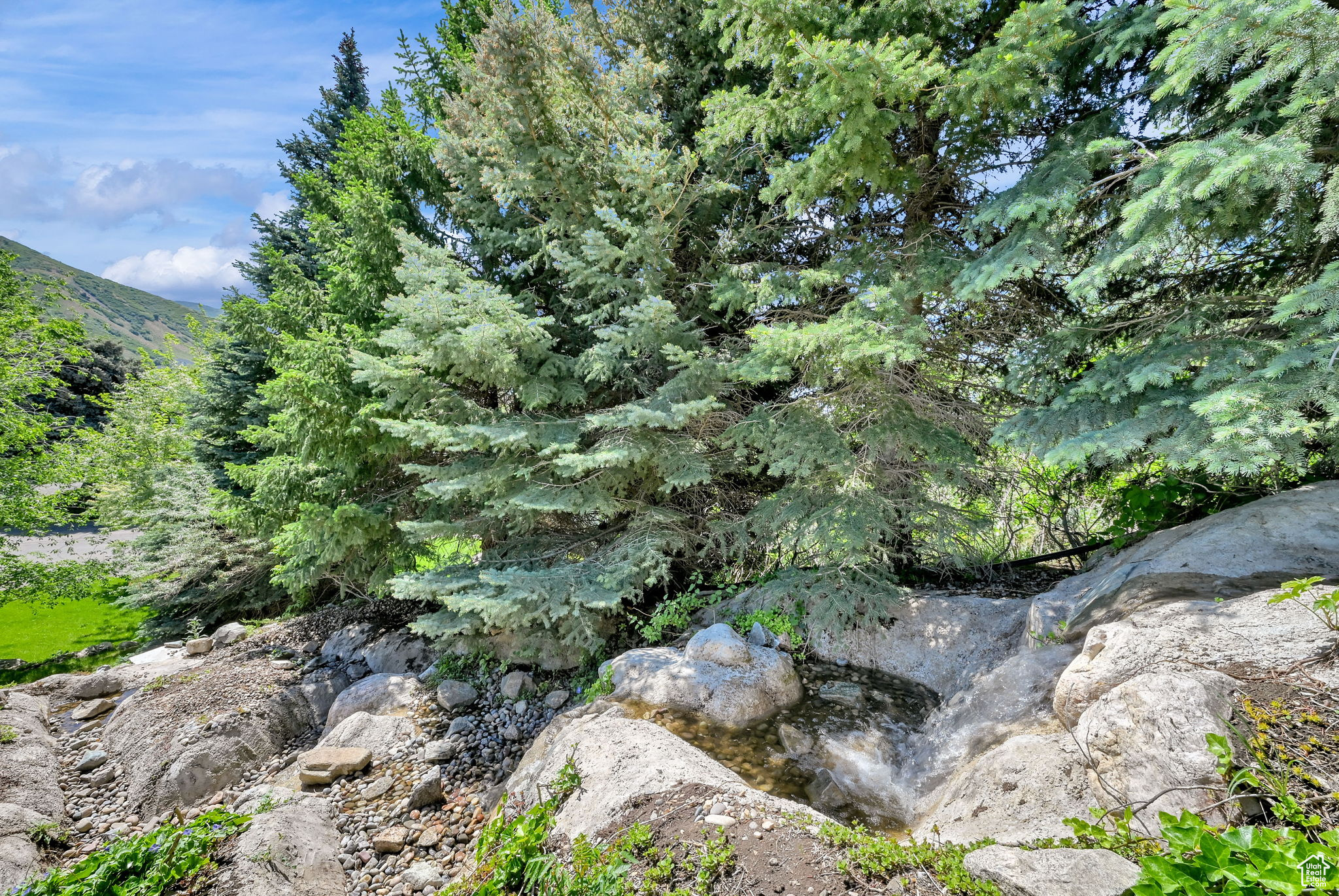 MOUNTAIN MEADOWS - Residential