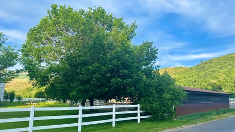 Tiny photo for 2334 S FALCON WAY E, Huntsville, UT 84317 (MLS # 2172934)