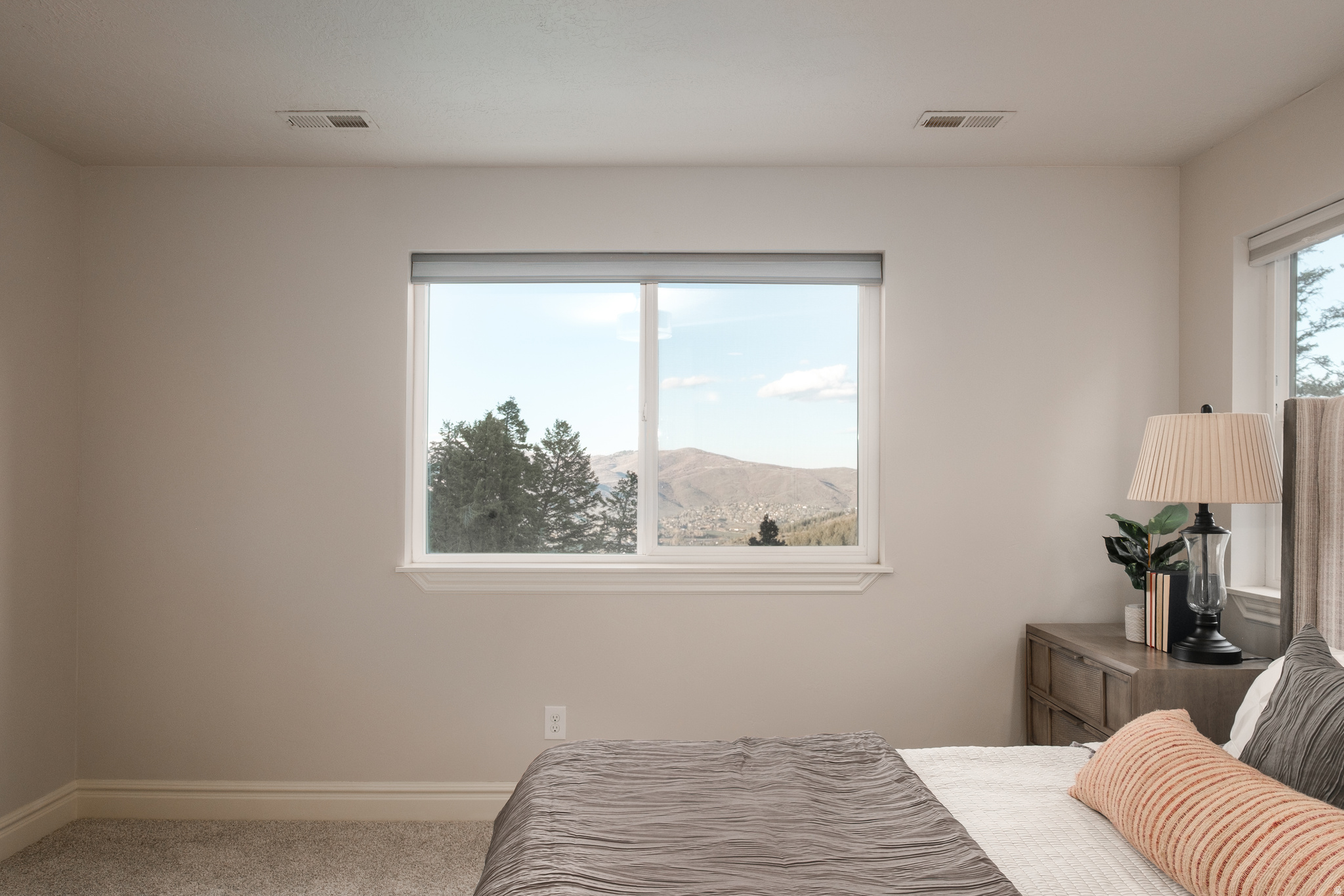 SUMMIT PARK SUBDIVISION - Residential