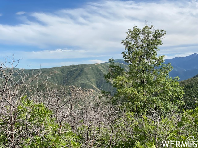 9 N Spring Mountain Dr #9, Springville, Utah image 9