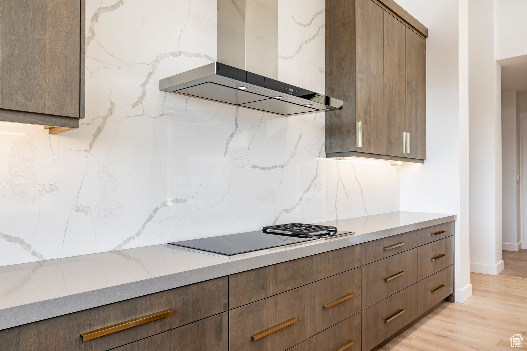 PINNACLE AT PROMONTORY - Residential