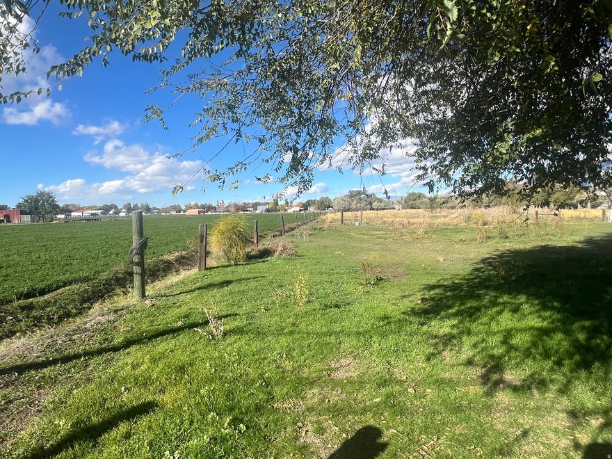 3acres 123.75 ft of frontage -can be sold with Tax ID# 24-047-0026  (to the east home and 3 acres) - Address is approx no address issued. Utilities in street. Nice flat pasture land. Pine View Secondary water and Buena Vista Culinary water not connected.  Square footage figures are provided as a courtesy estimate only.  Buyer is advised to obtain an independent measurement. Seller has little knowledge about this property buyer is advised to conduct a thorough inspection.