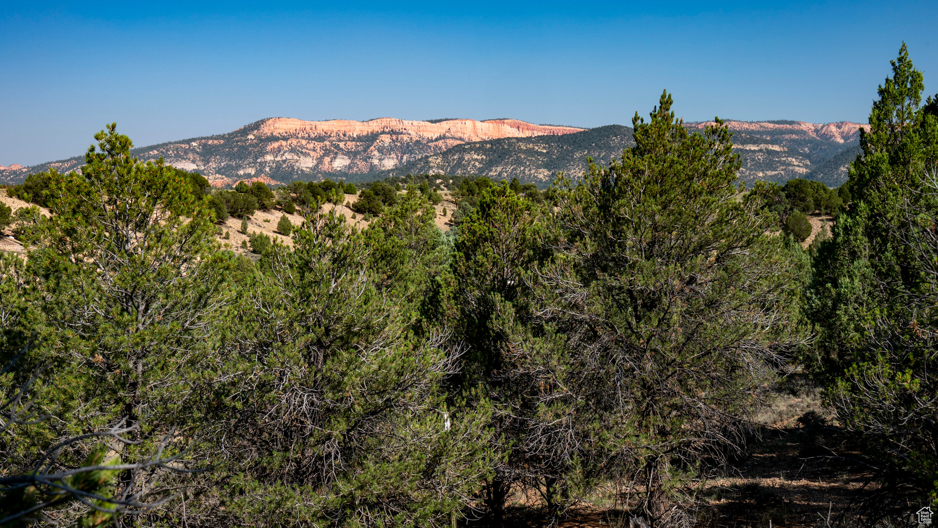 1710 E Eagle Ridge Cir #8, Hatch, Utah image 2