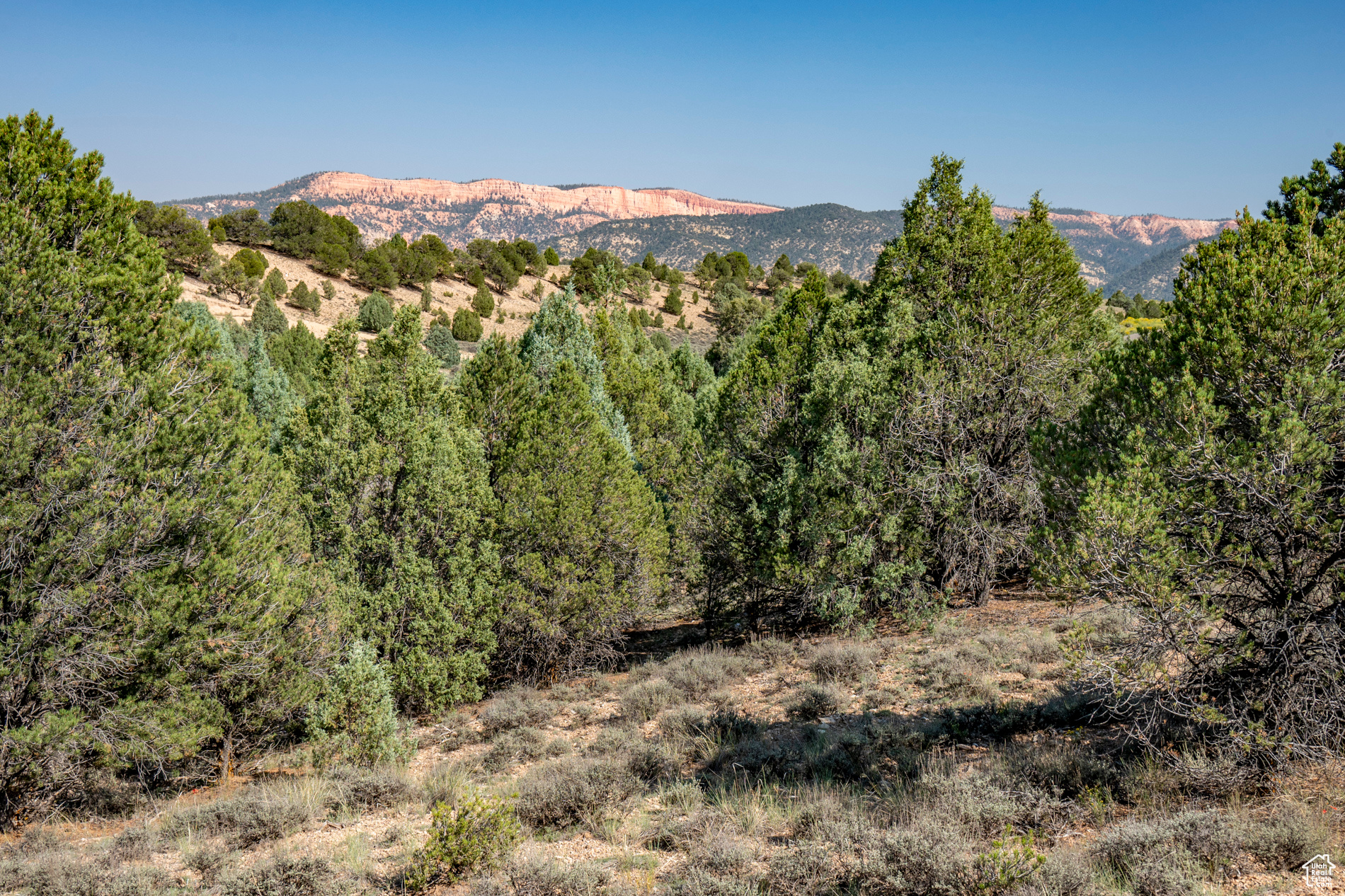 1710 E Eagle Ridge Cir #8, Hatch, Utah image 9