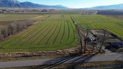Vacant Land For Sale - Farm<br/> Malad City, ID 83252