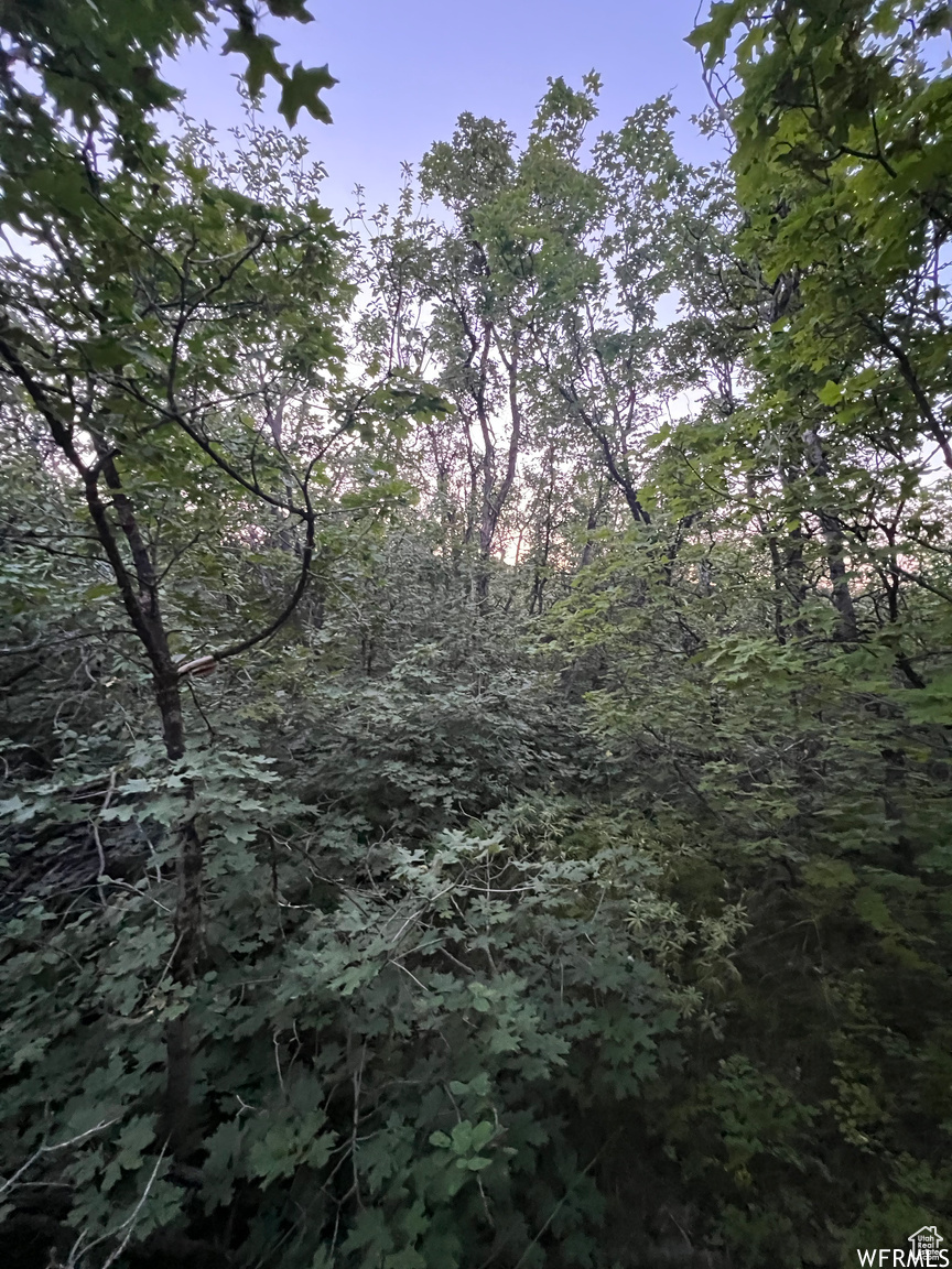 BEAR LAKE WEST C - Land