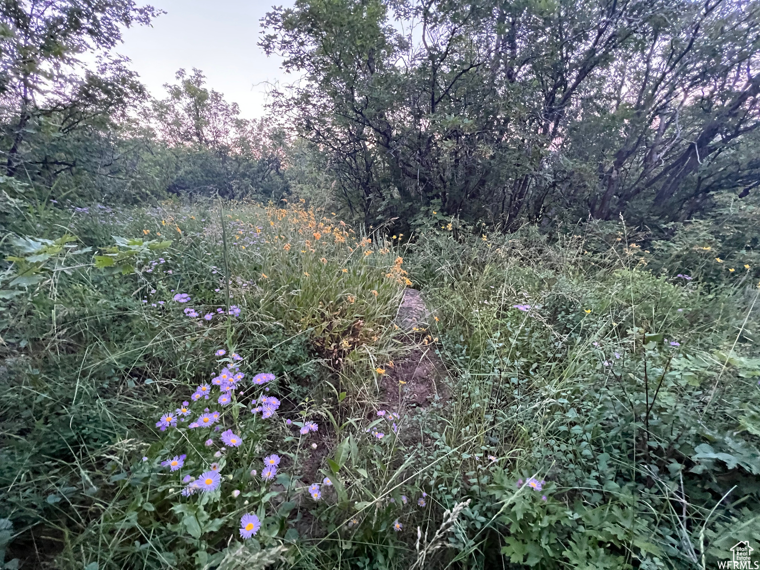 BEAR LAKE WEST C - Land