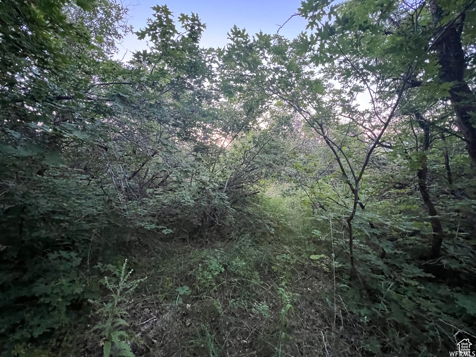 BEAR LAKE WEST C - Land