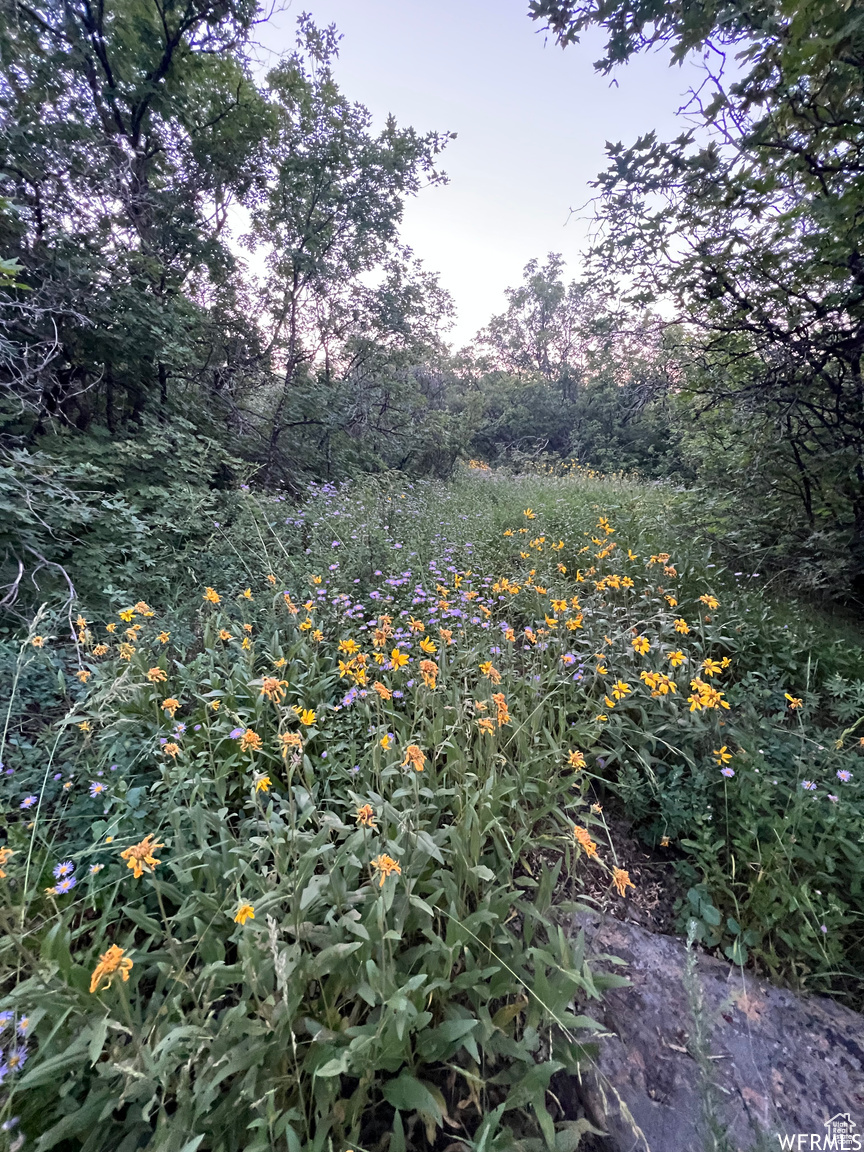 BEAR LAKE WEST C - Land