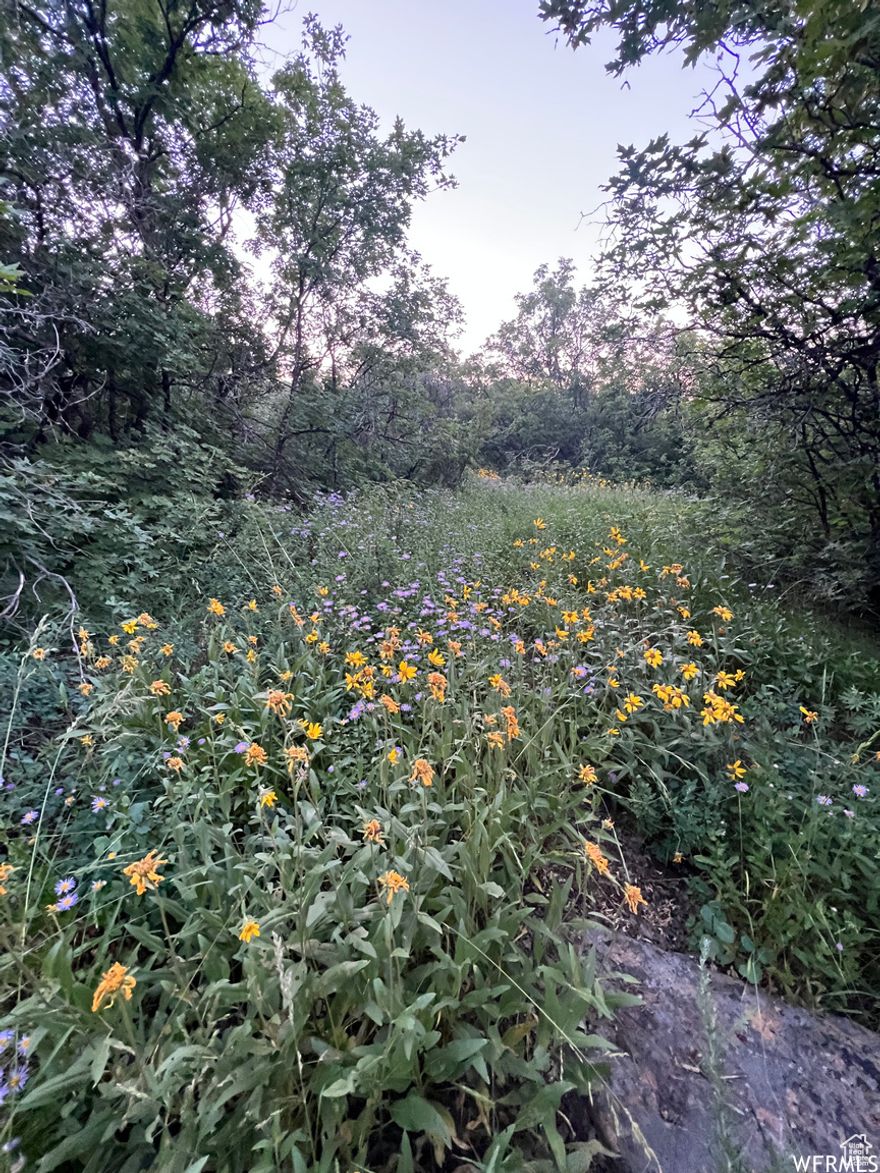 Beautiful building lot with TREES in BEAR LAKE! Wonderful lakeviews from this lot.  You can almost see the entire lake from end to end. Located near the Nation Forest with direct access to trailheads for snowmobiling, ATV riding, hiking, snowshoeing, biking, fishing, etc