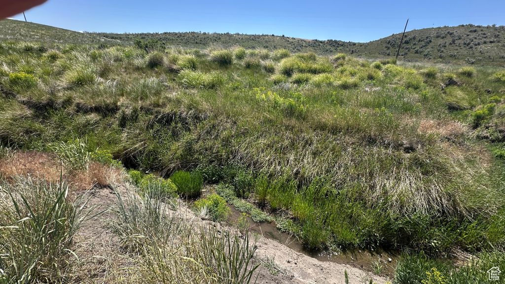 Photo of 7850 W BLACK CANYON RD, Weston, ID 83286 (MLS # 2092166)