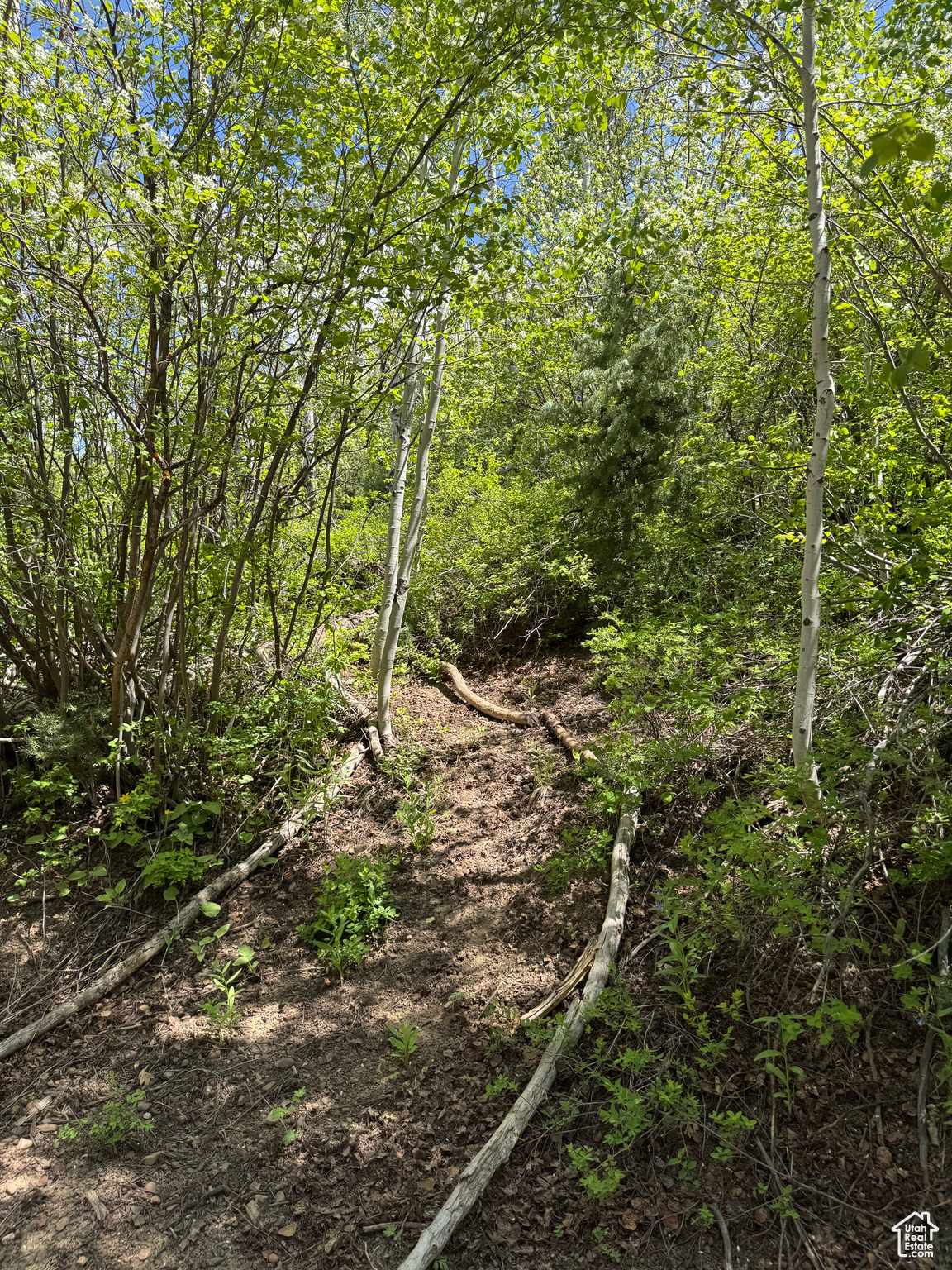 120 S Pine Dr #34, Huntsville, Utah image 32