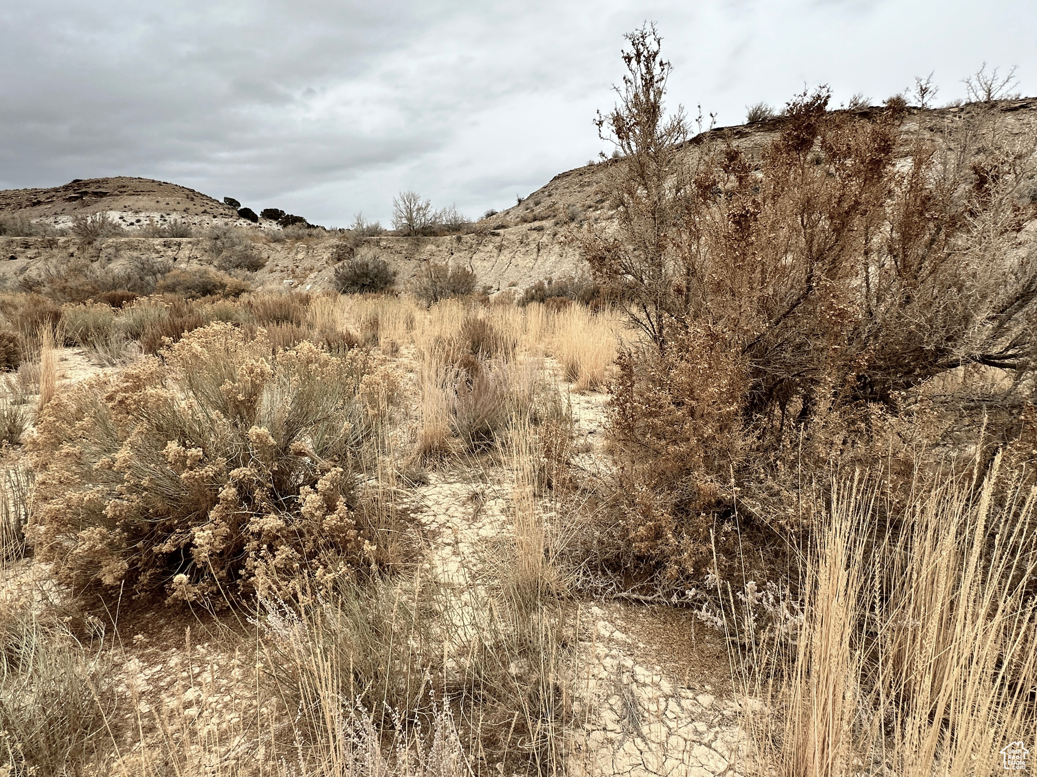 MOONDANCE RANCH - Land