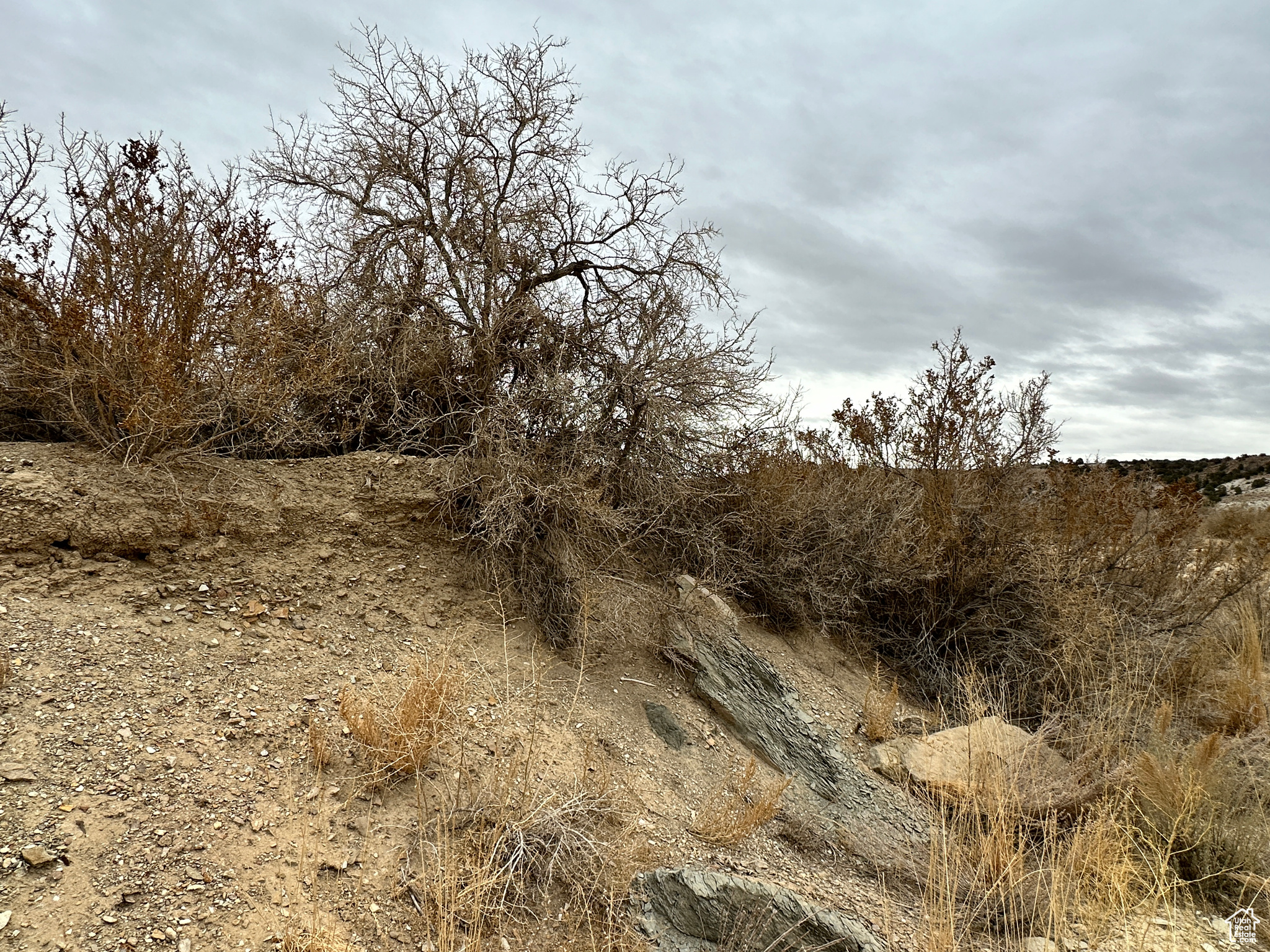 MOONDANCE RANCH - Land