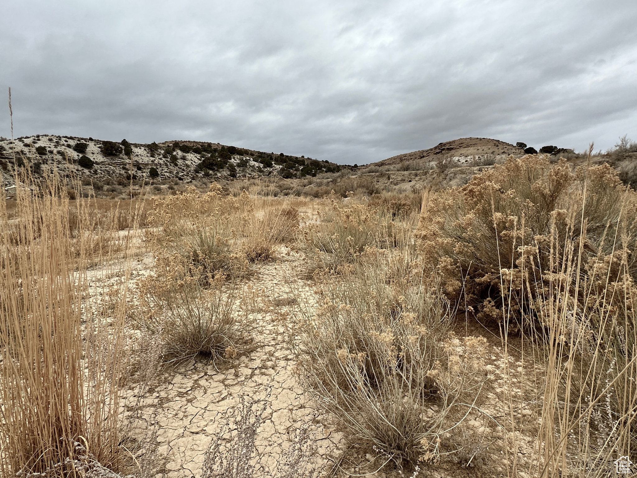 MOONDANCE RANCH - Land