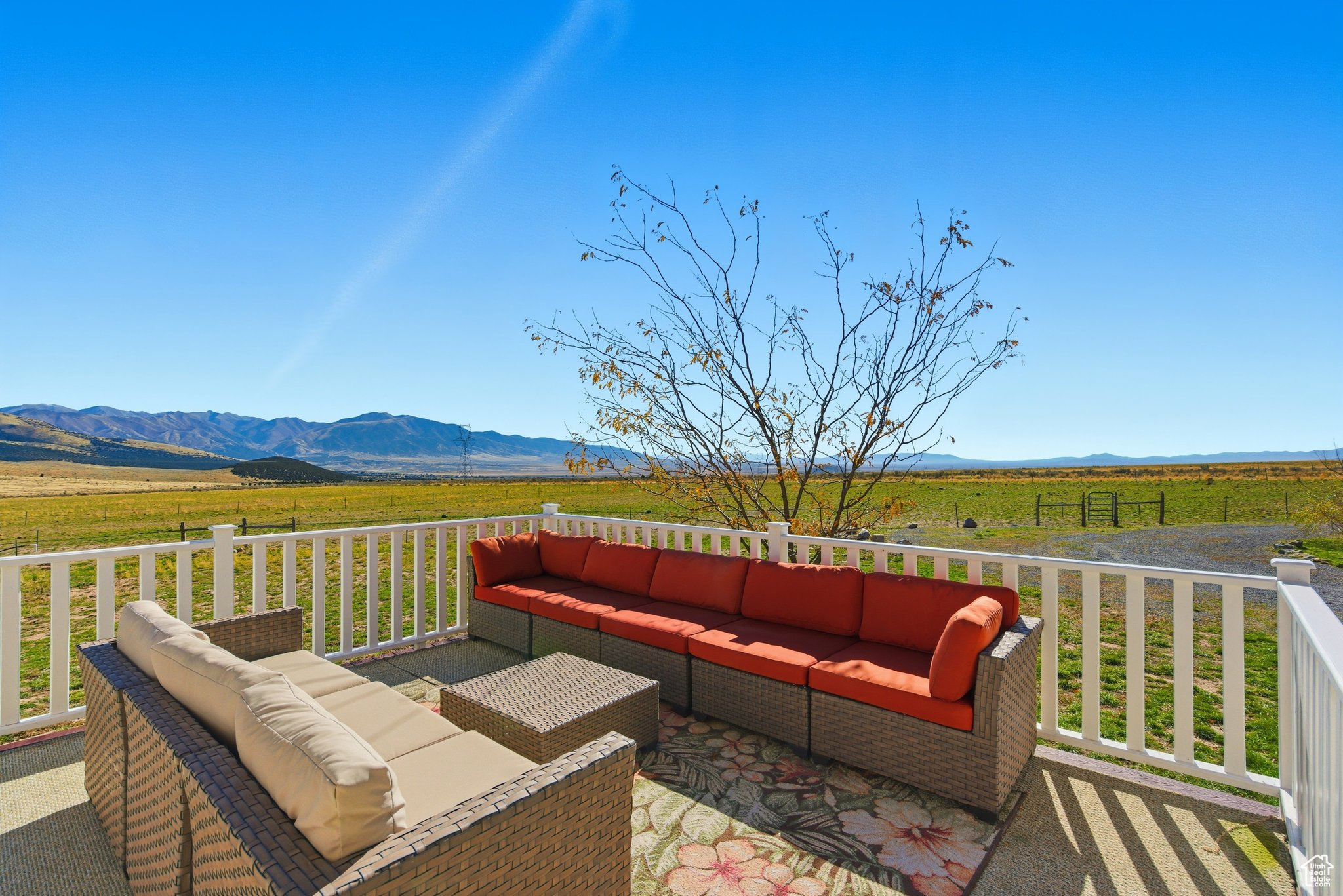 O.D. MOSQUITO - Residential