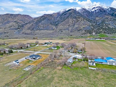 Vacant Land For Sale - 10035 N Hwy 38<br/> Deweyville, UT 84309