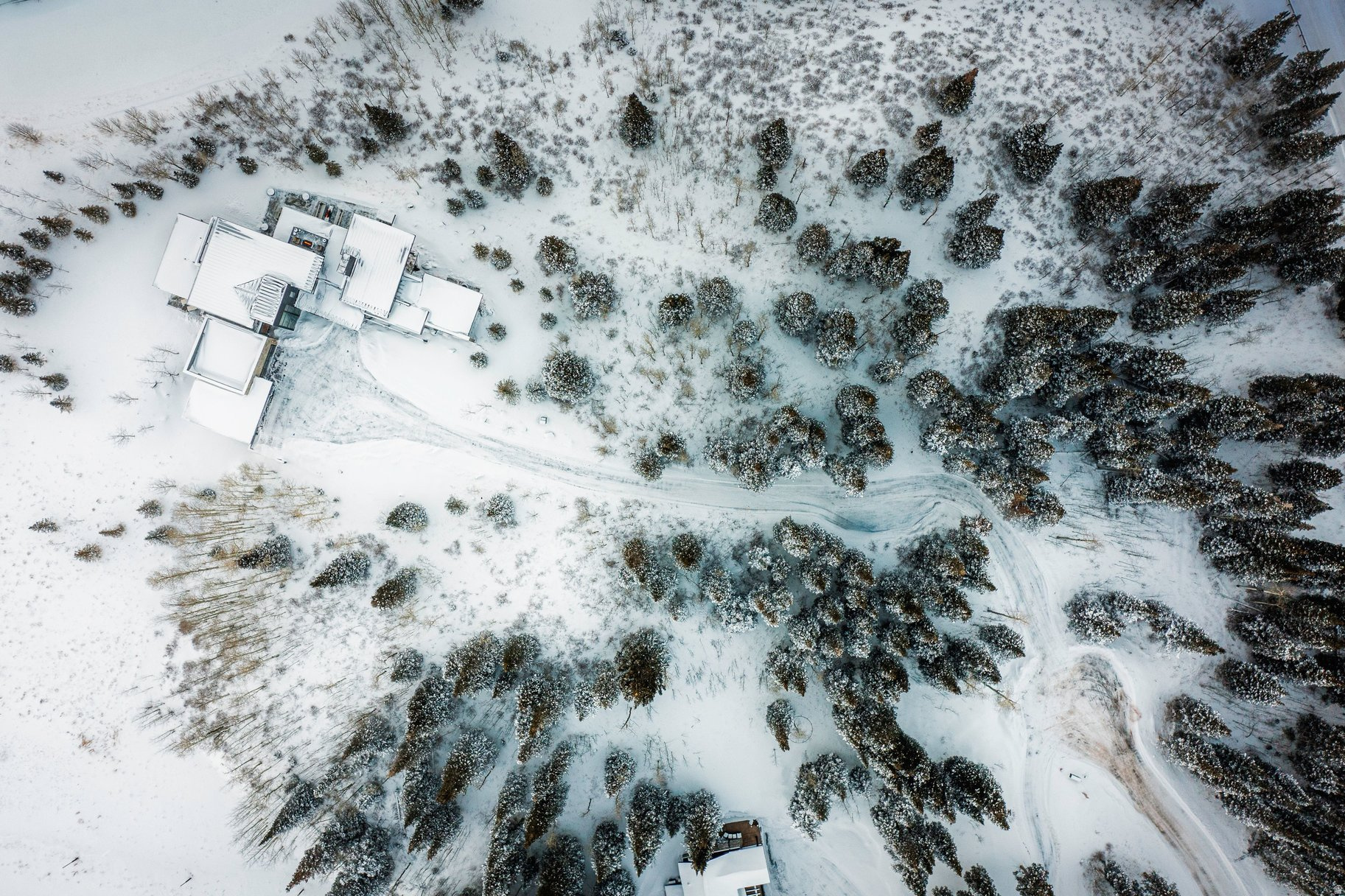 COLONY @WHITE PINE - Residential