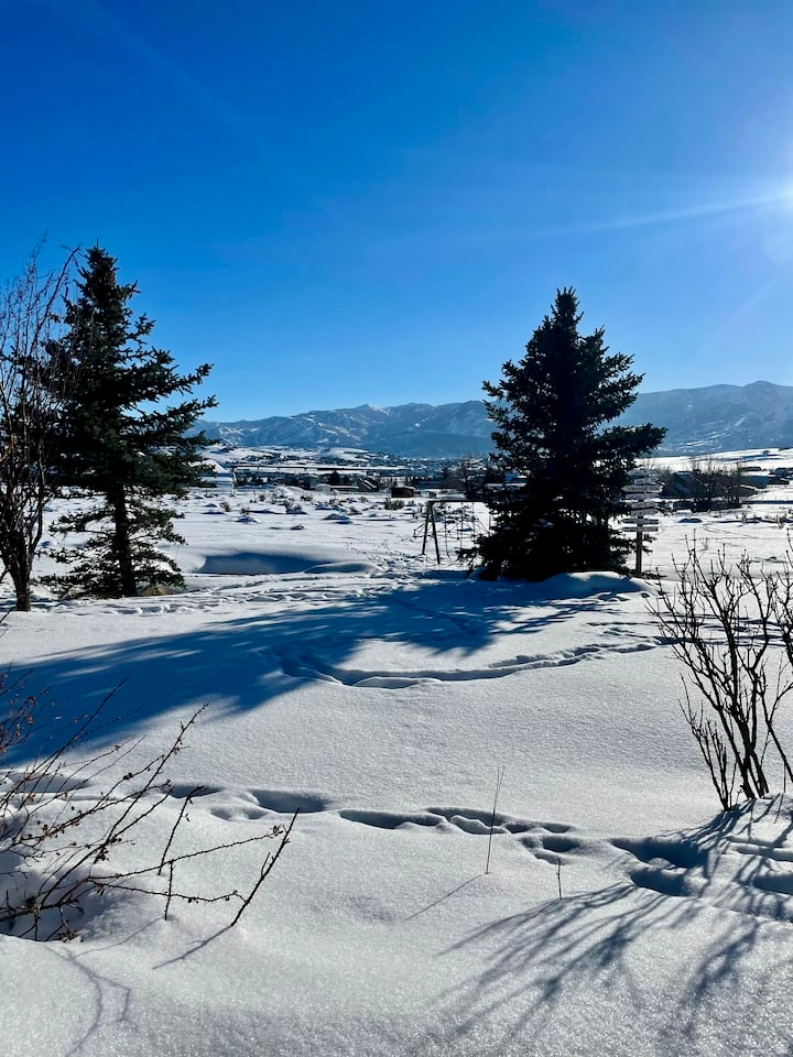 SILVER CREEK ESTATES - Residential