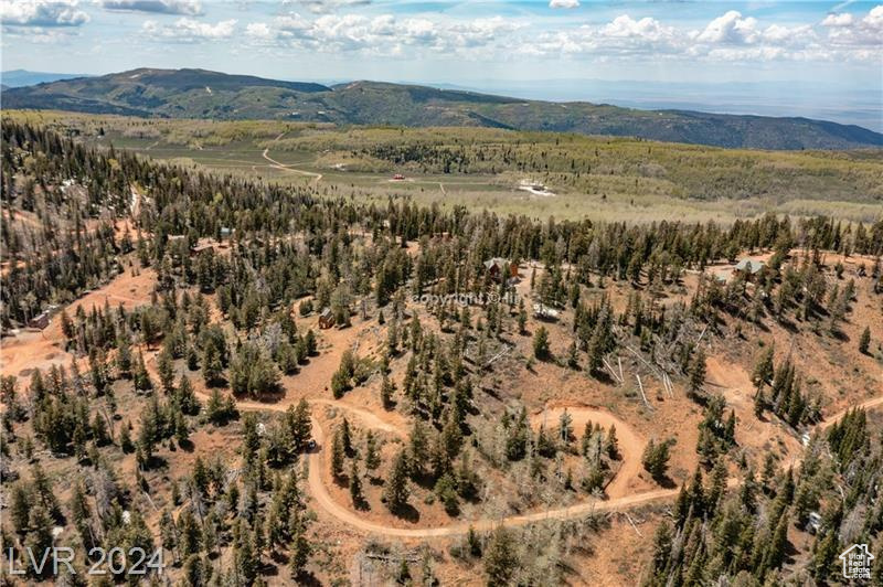 950 Yankee Lookout, Brian Head, Utah image 9