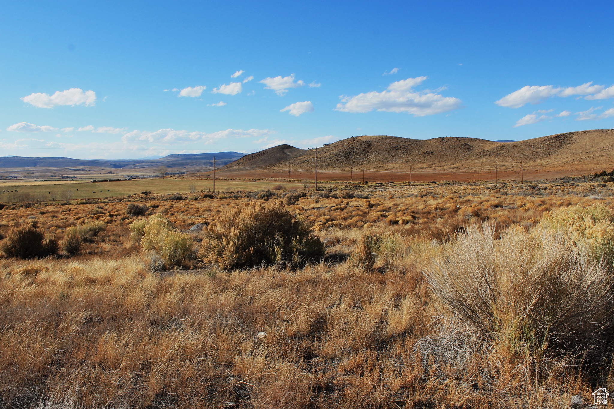 Land, Lyman, Utah image 3