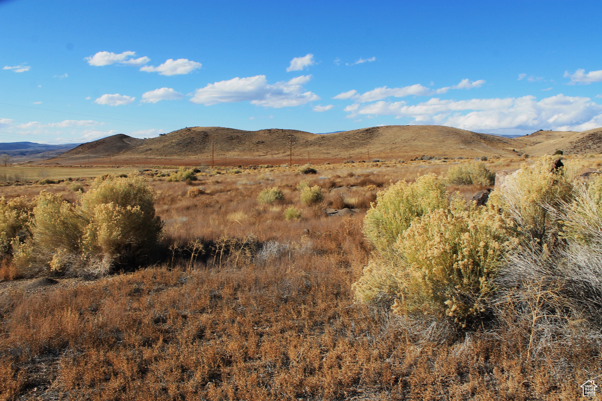 Land, Lyman, Utah image 4