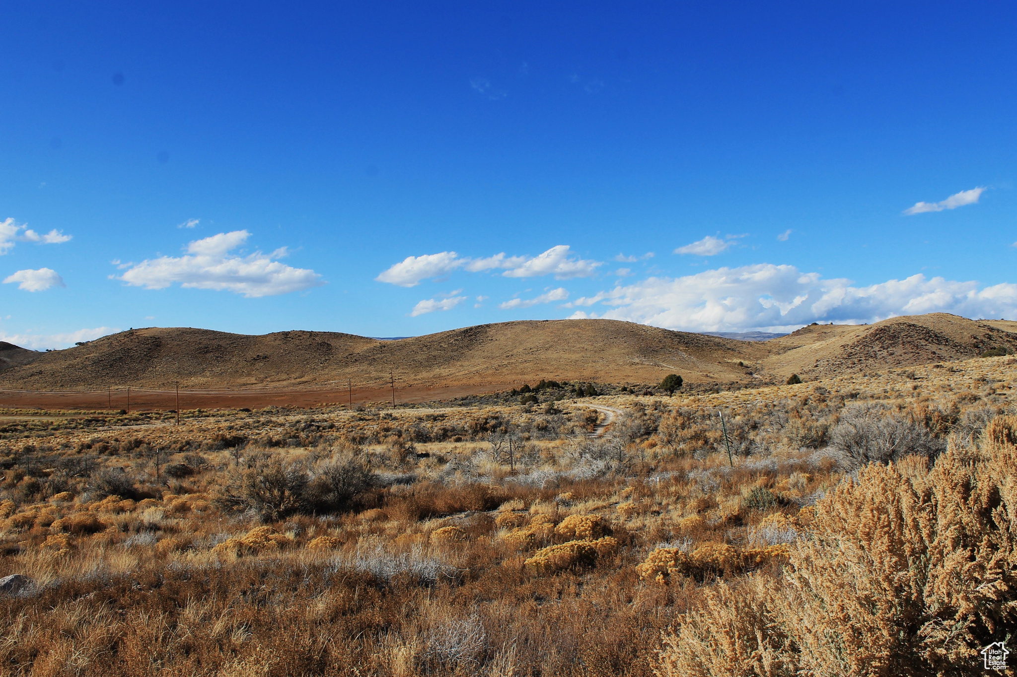 Land, Lyman, Utah image 2