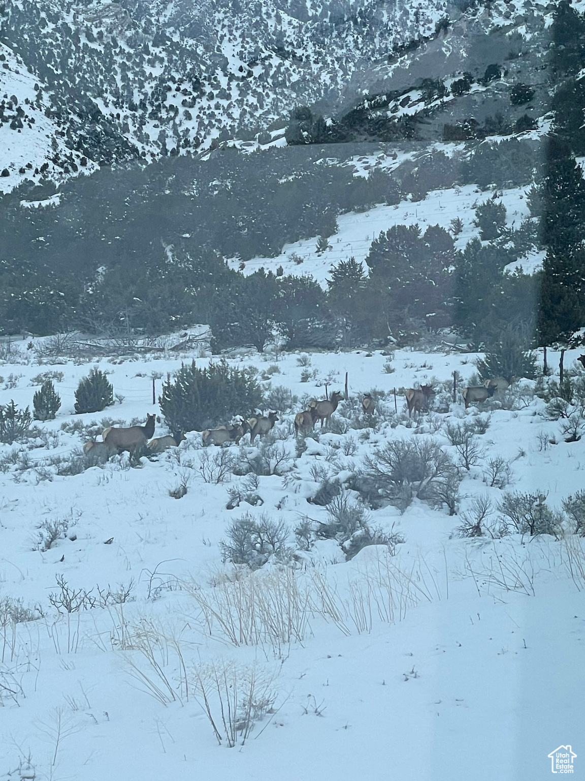 CALLS FORT ESTATES - Residential