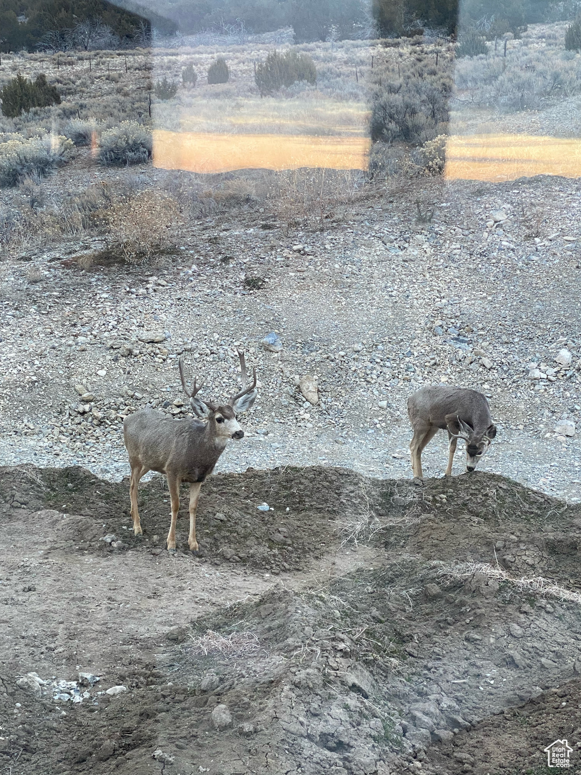 CALLS FORT ESTATES - Residential