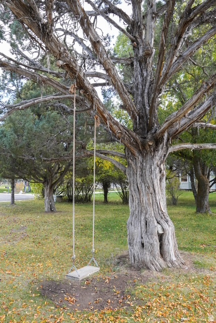 PIONEER CEDARS - Residential