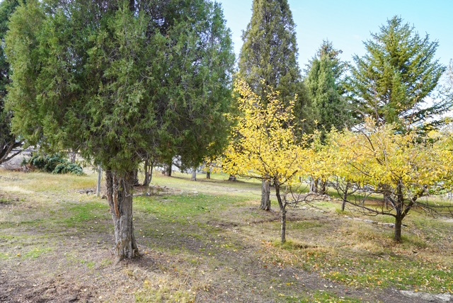 PIONEER CEDARS - Residential