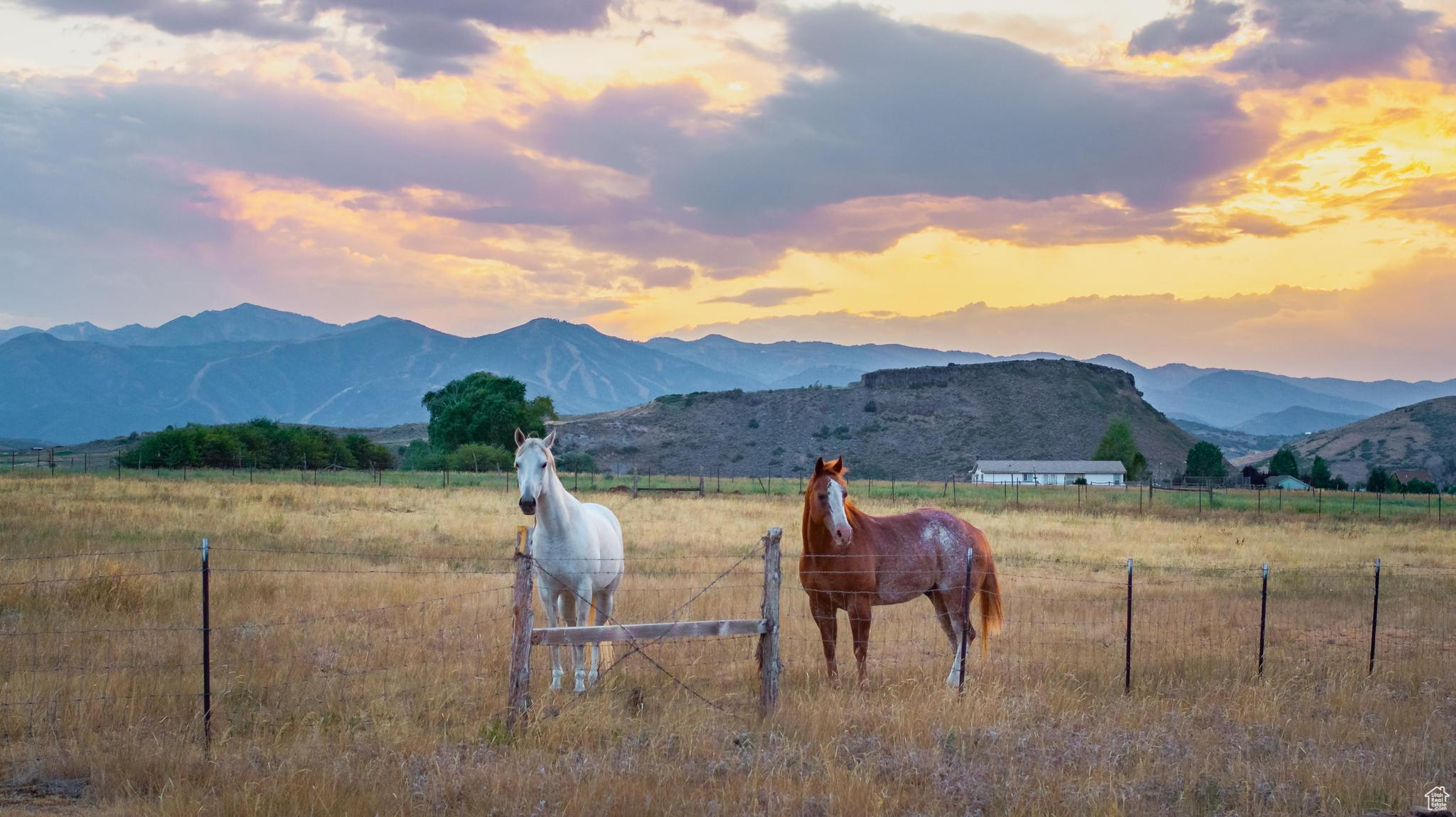 ATKINSON MUIR SUBDIVISION - Residential