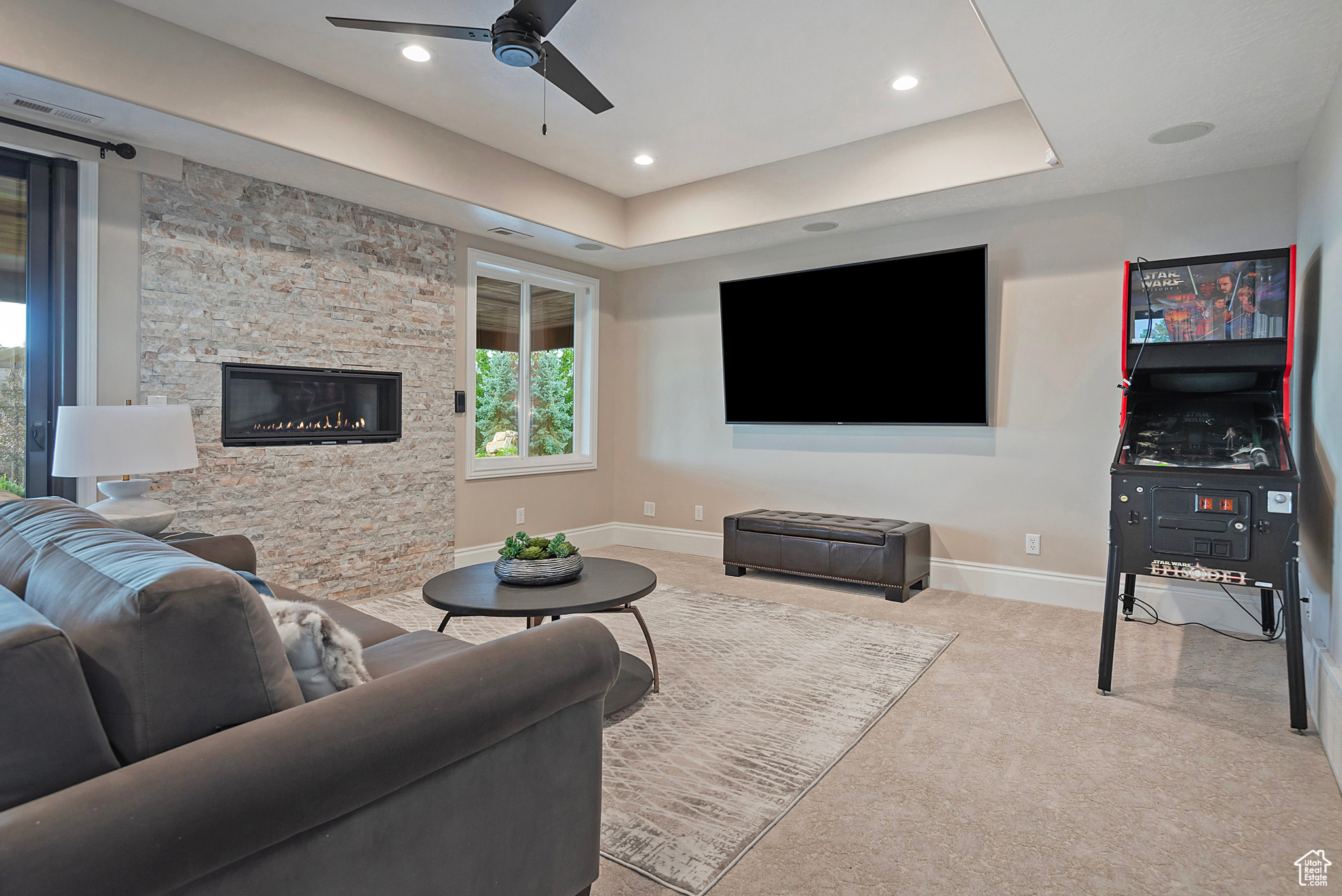 THE COVE AT BEAR CAN - Residential