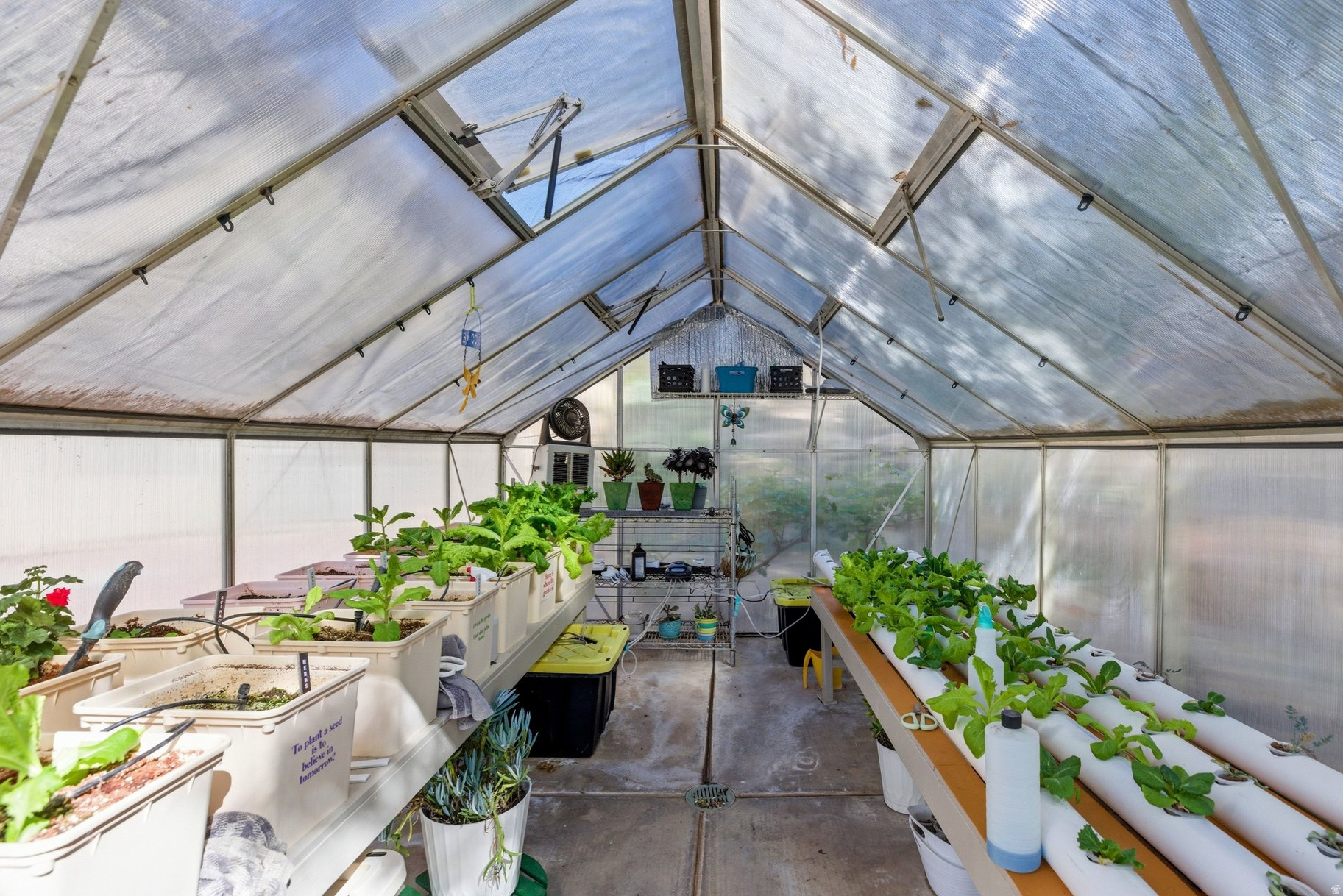 WINCHESTER HILLS 6 - Residential