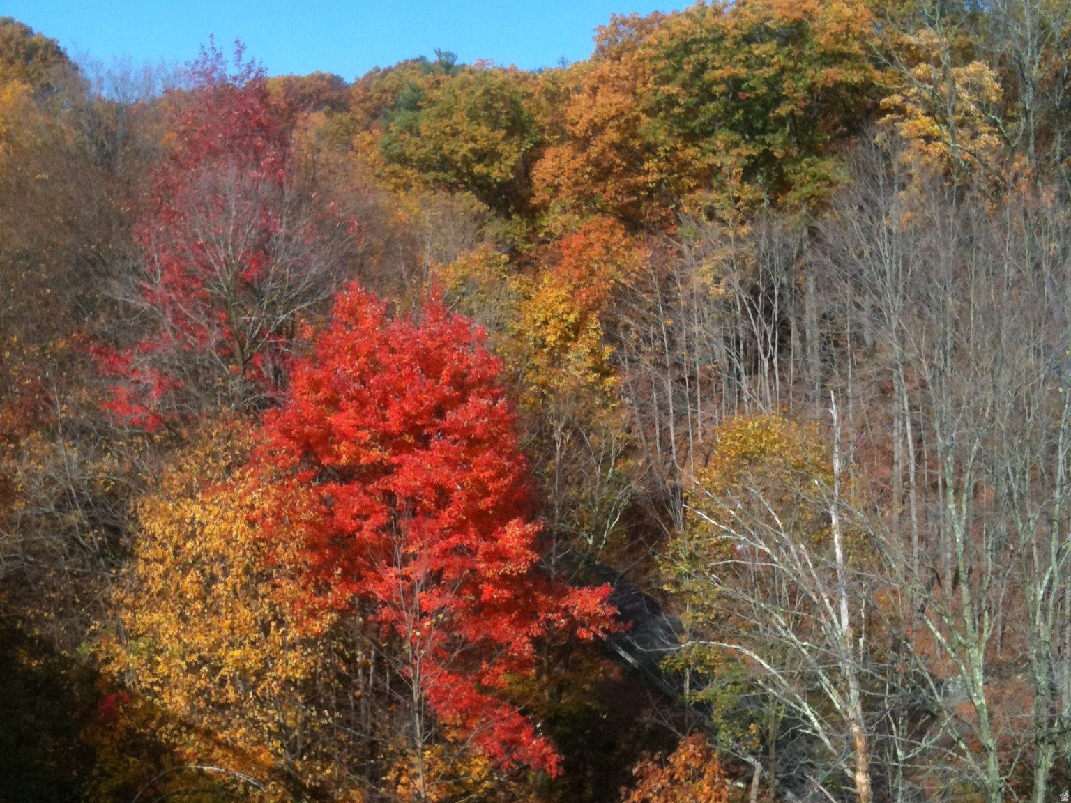 SKYLINE MOUNTAIN RES - Land