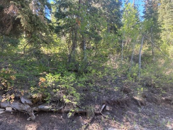 SKYLINE MOUNTAIN RES - Land
